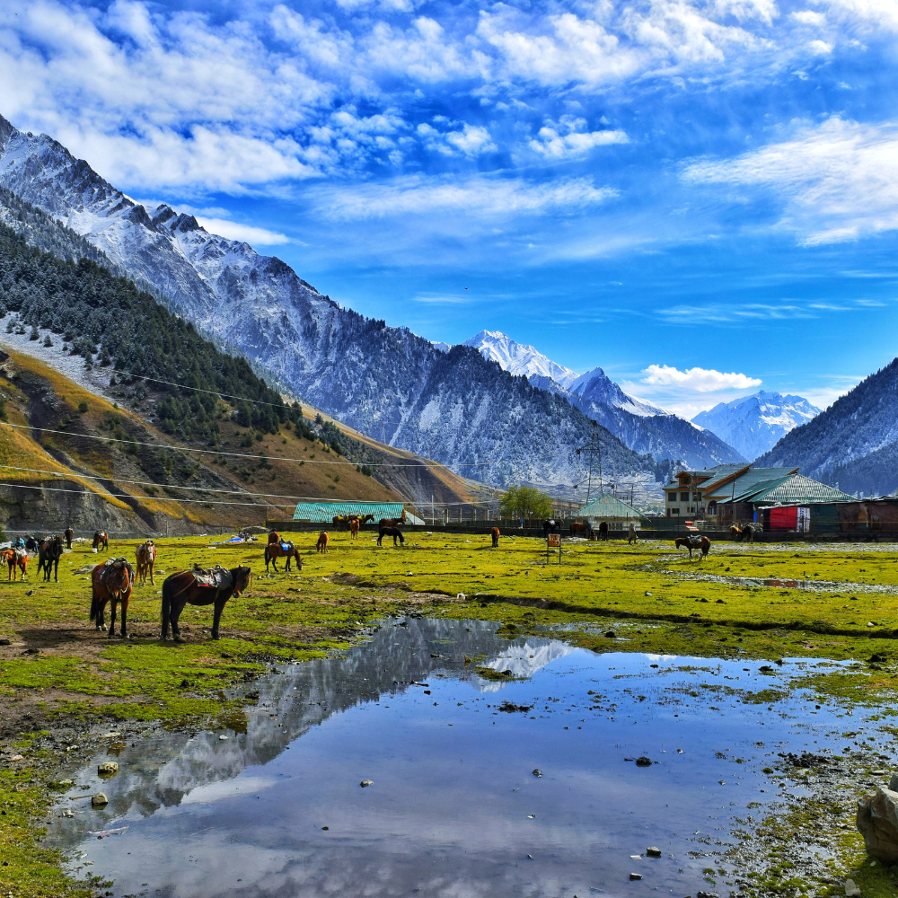 Kashmir Travel